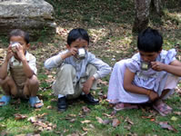 Photo: Another Picnic Shot