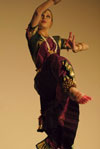 Photo: Cultural Fusion Night 9